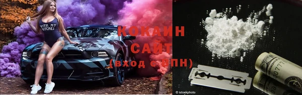 мяу мяу мука Гусь-Хрустальный