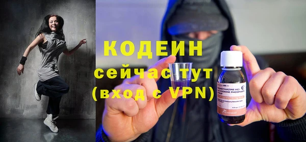 мяу мяу мука Гусь-Хрустальный