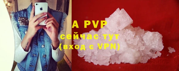 мяу мяу мука Гусь-Хрустальный