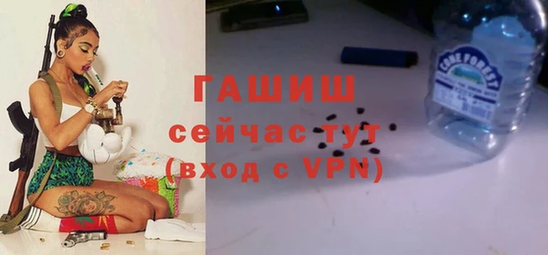 PSILOCYBIN Гусиноозёрск