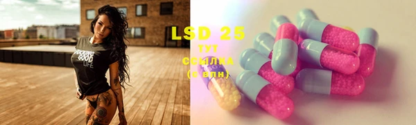 PSILOCYBIN Гусиноозёрск