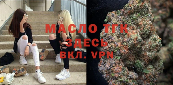 мяу мяу мука Гусь-Хрустальный