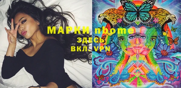 круглые Гусев
