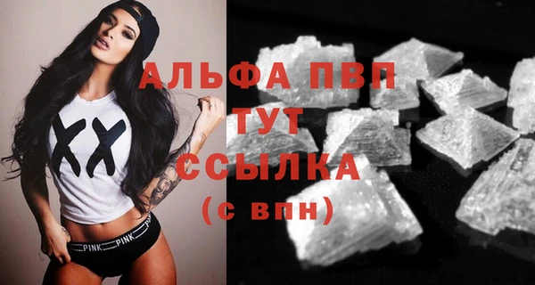 PSILOCYBIN Гусиноозёрск